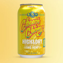 Cheech and Chong's High & Dry Hemp Seltzer - Mango Fizz